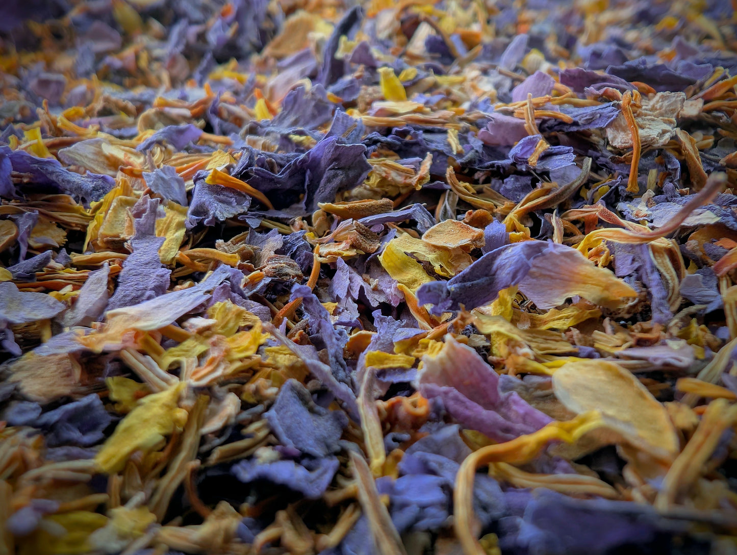 Close-up of tea cut flowers