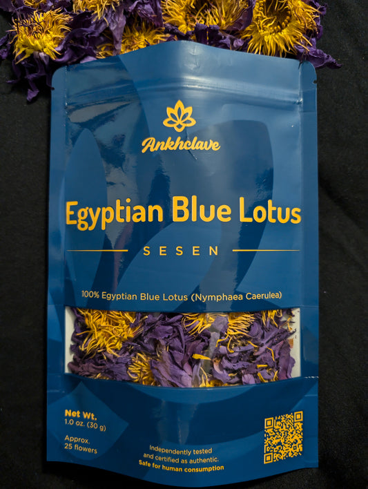 Sesen - Whole Egyptian Blue Lotus Flower