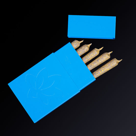 Caddy - Air/Water Tight King Size Pre-roll Case