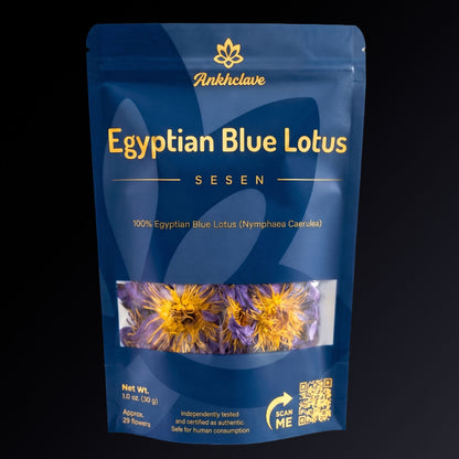 Sesen - Whole Egyptian Blue Lotus Flower