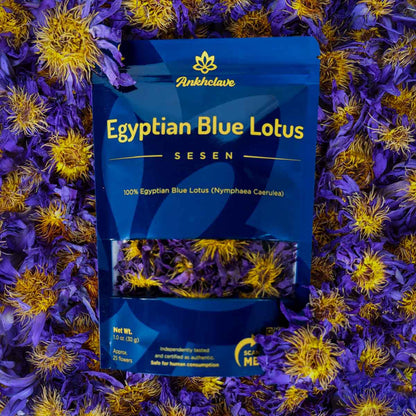 Sesen - Whole Egyptian Blue Lotus Flower