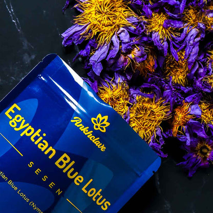Sesen - Whole Egyptian Blue Lotus Flower