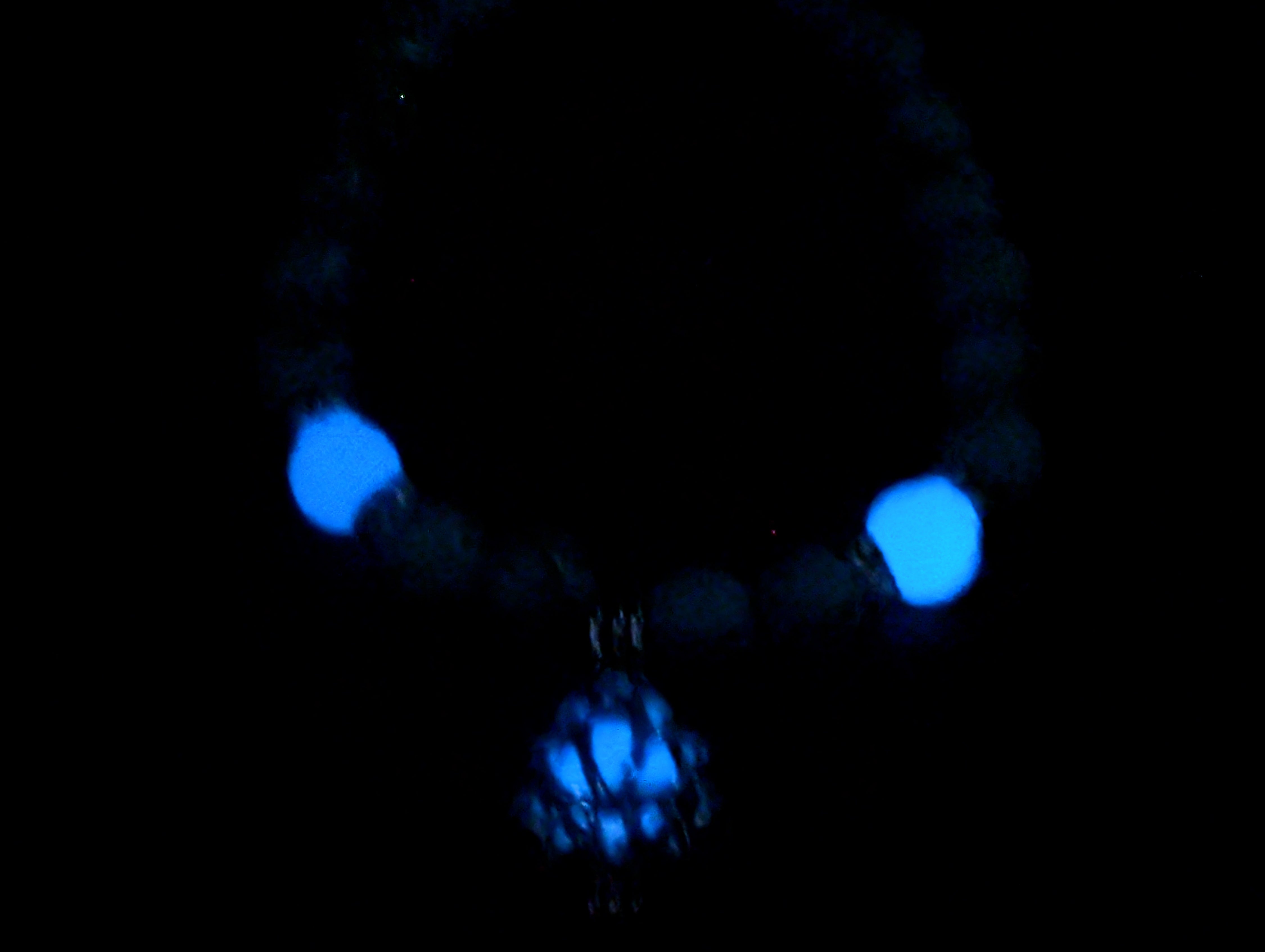Blue Lotus Turquoise Glow Bracelet/Anklet - Image 2