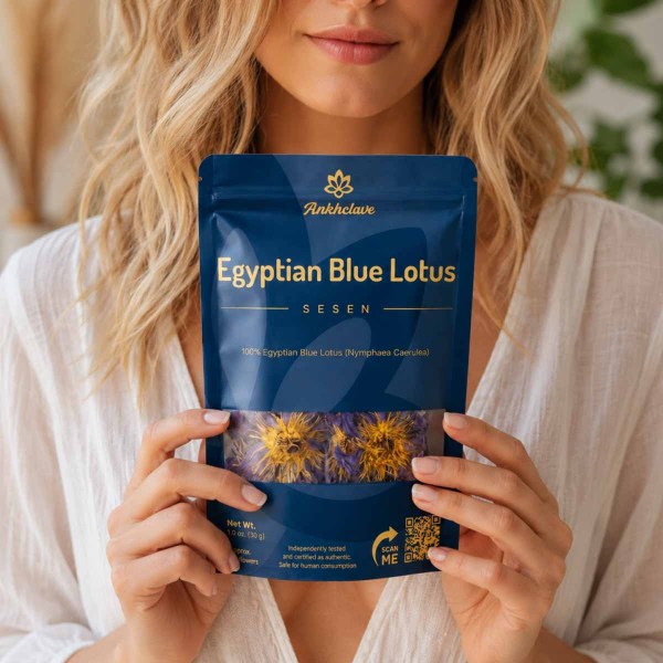 Sesen - Whole Egyptian Blue Lotus Flower - Image 4
