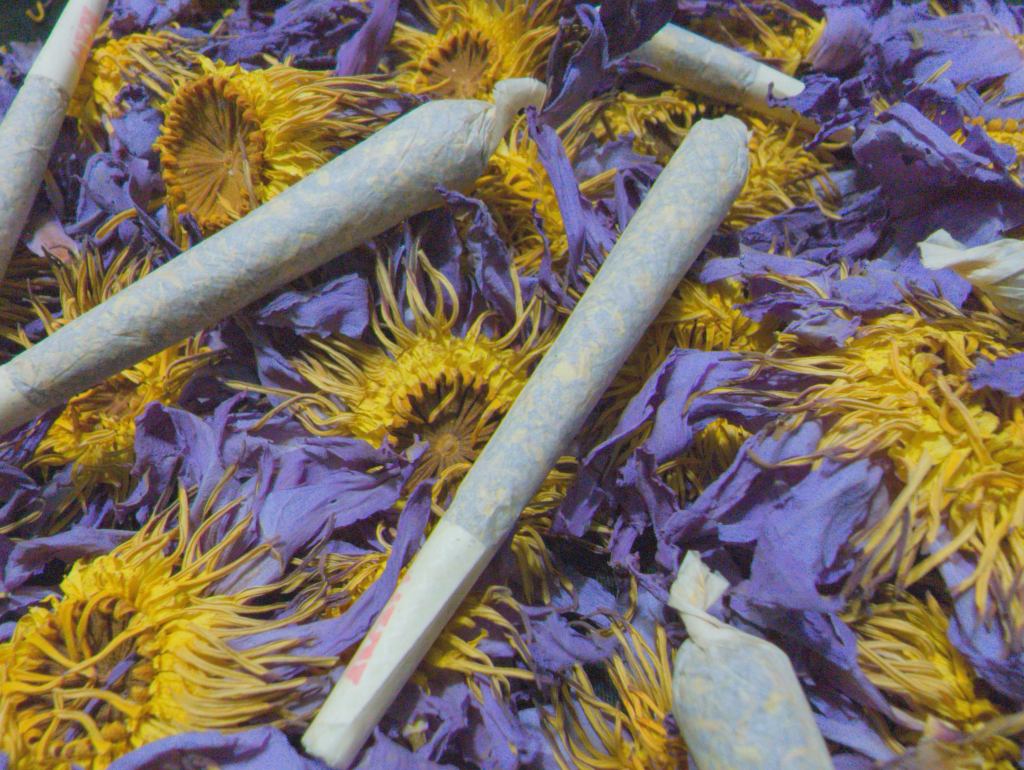 Peace Puffs - 100% Egyptian Blue Lotus Flower Pre-rolls