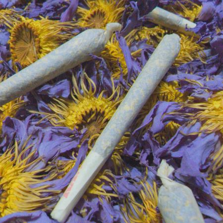 Pre-rolls - 100% Egyptian Blue Lotus Flower